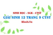 Giải Sinh 12 trang 9 Chân trời Sáng tạo